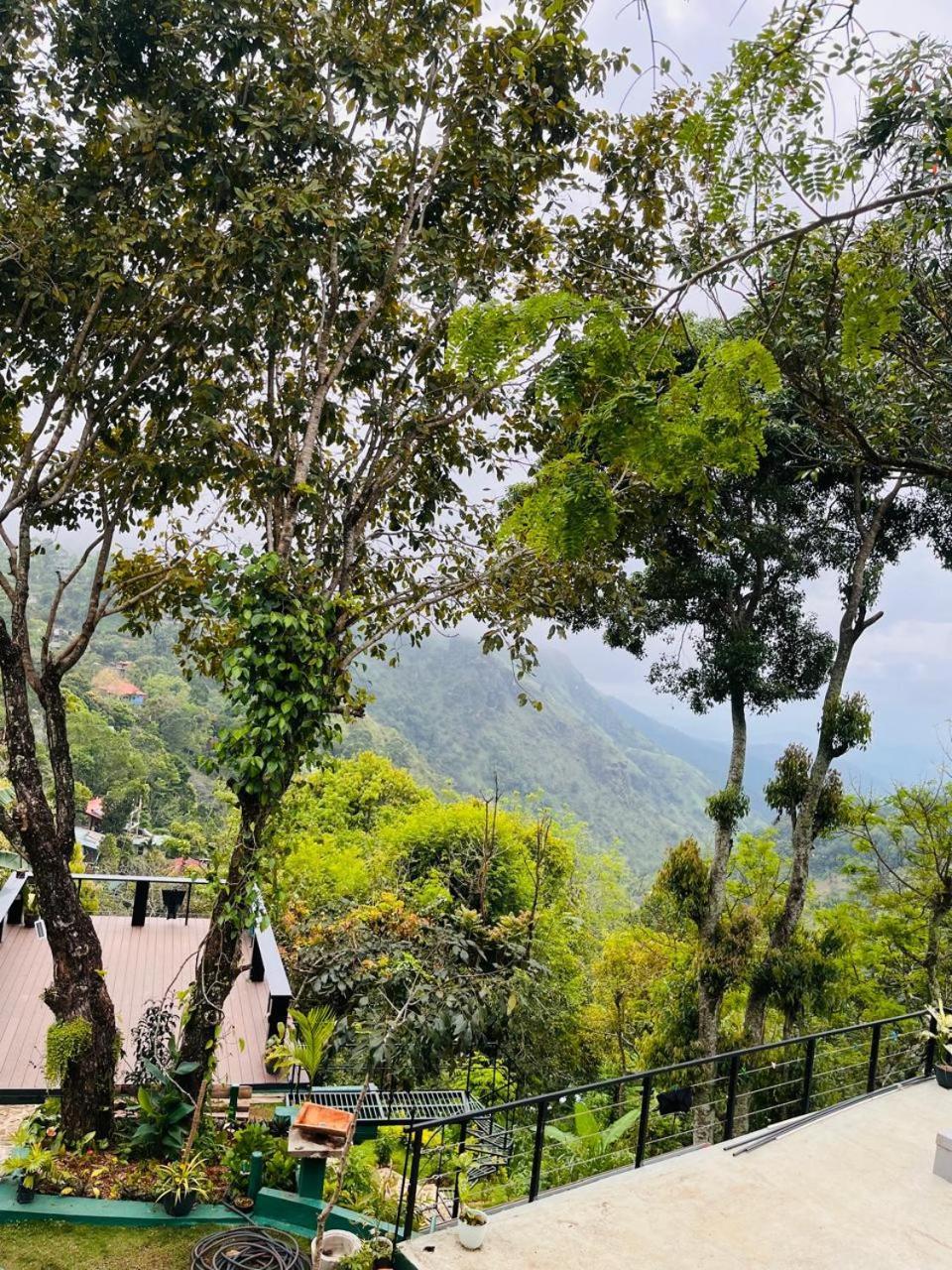 Homestay Gaia And Yoga Centre
